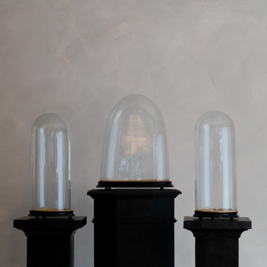 CÚPULA DE EXHIBICIÓN DE CRISTAL