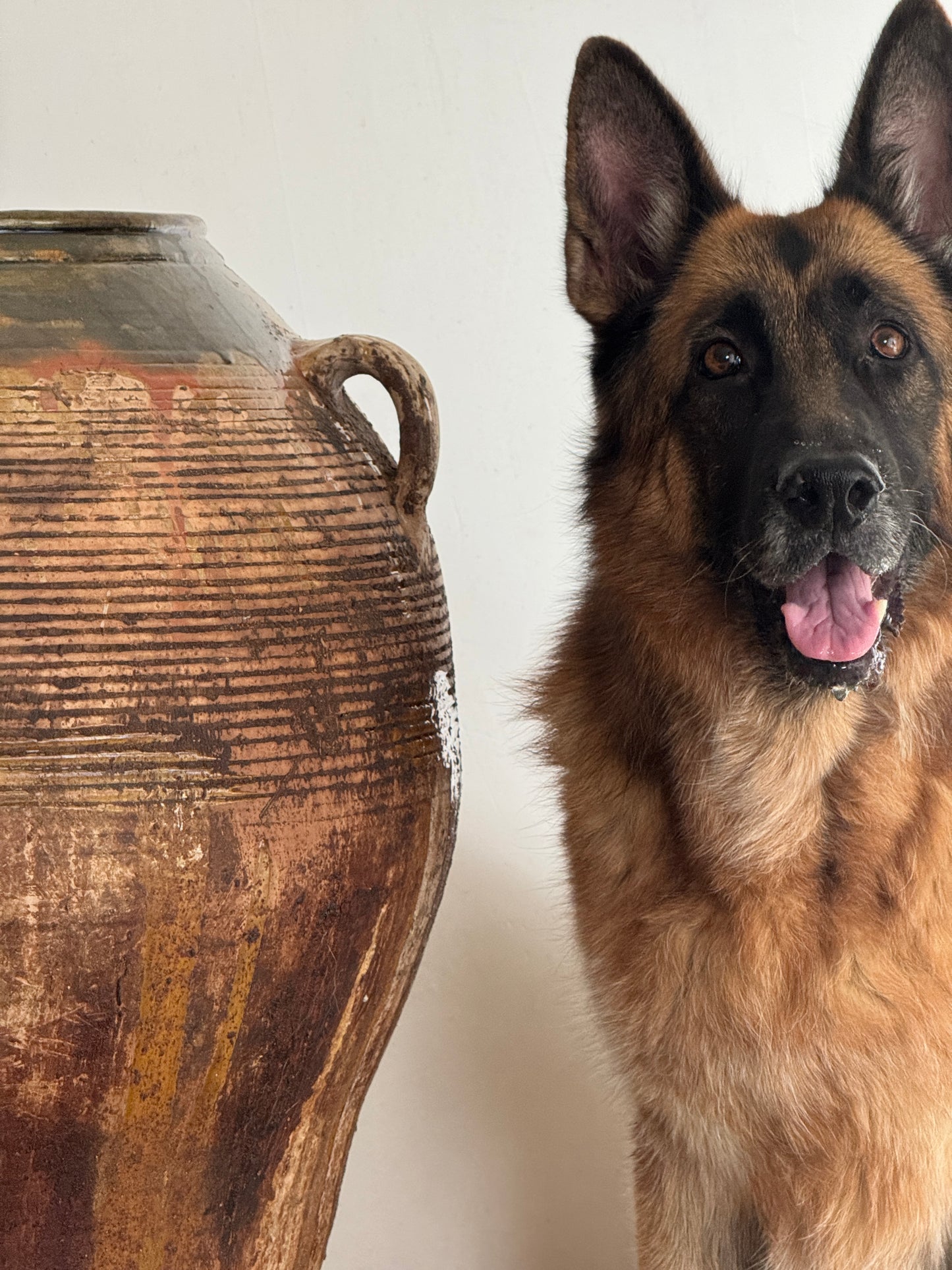 TINAJA DE ACEITE DE TERRACOTA XIX-XX alto 75cm